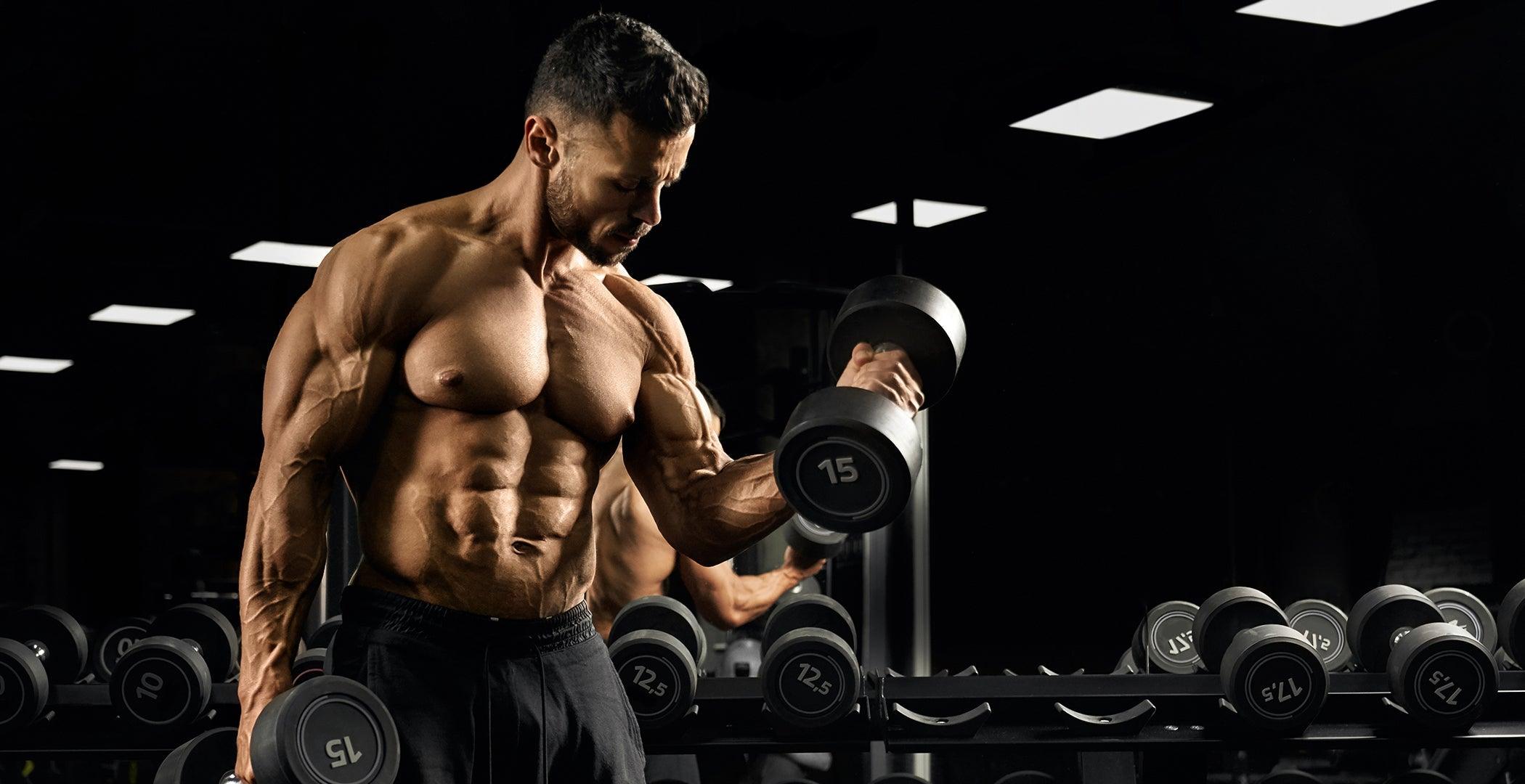 Dumbbells & Barbells