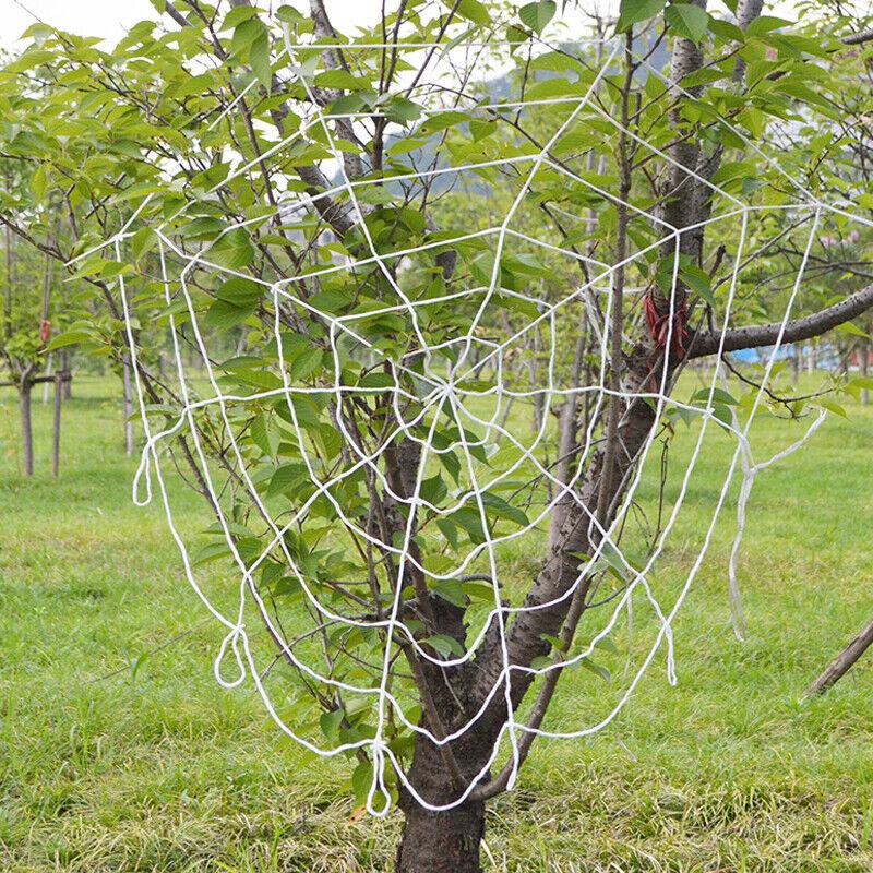 Light Up Spiders Web - 100 LED Halloween Decoration Giant Spider Web Lights