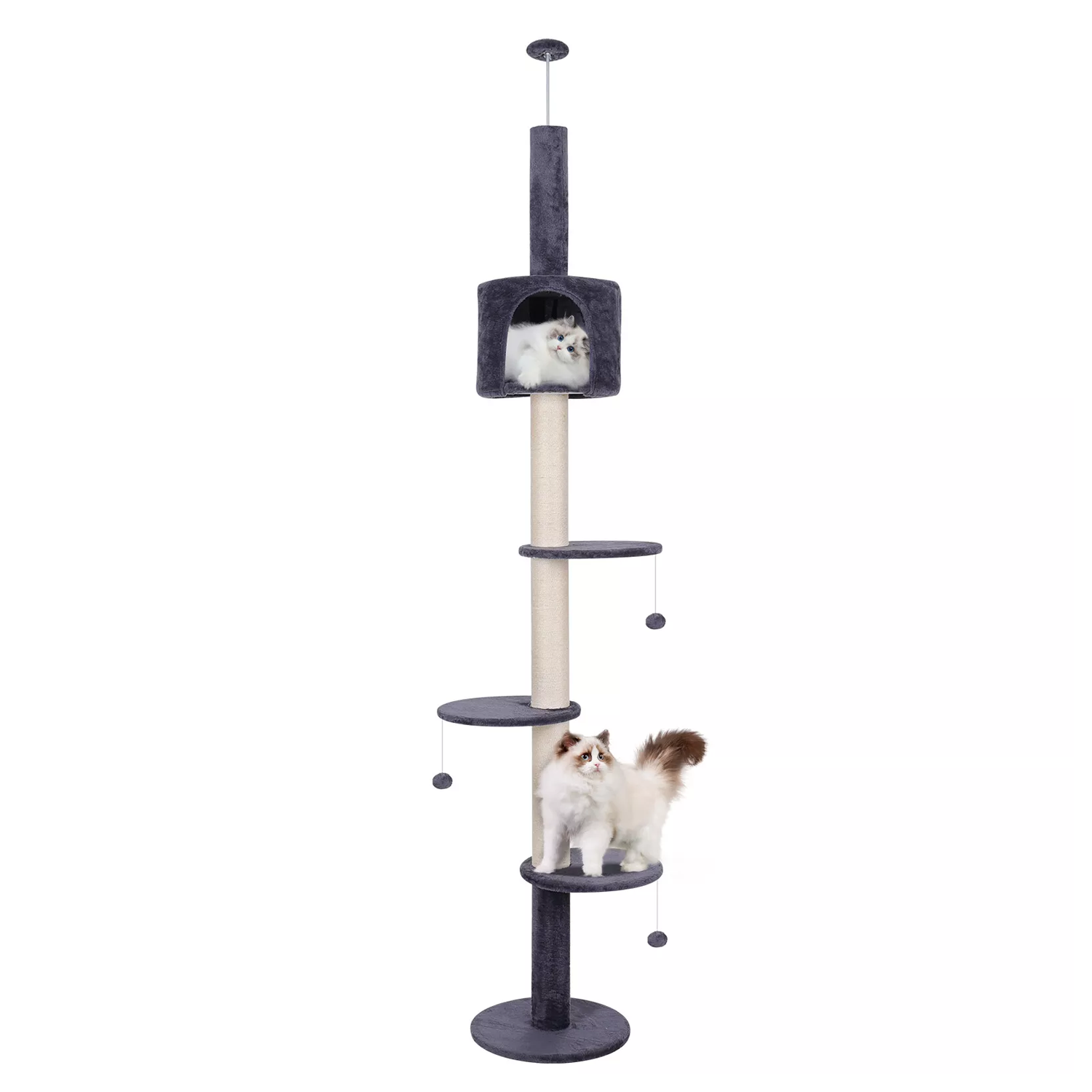 Best floor-to-ceiling cat tree for multiple cats