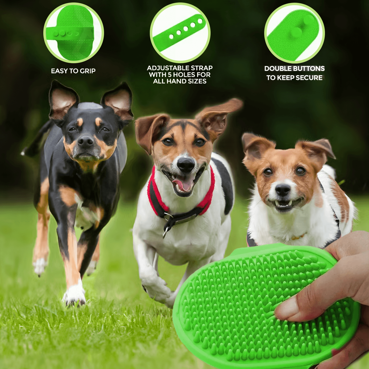 Best pet hair brush for shedding and grooming