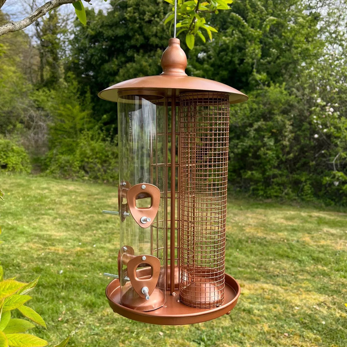 Bird Feeders on Trees