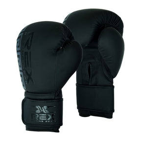 Best Boxing Gloves for Training
