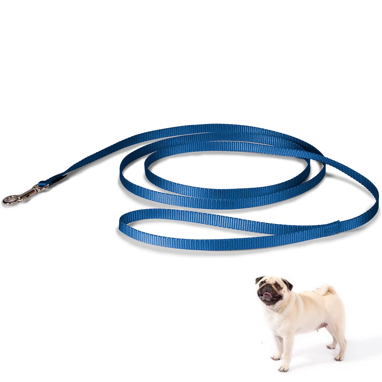 Dog Walking Lead