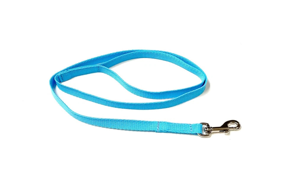 Dog Walking Lead light blue