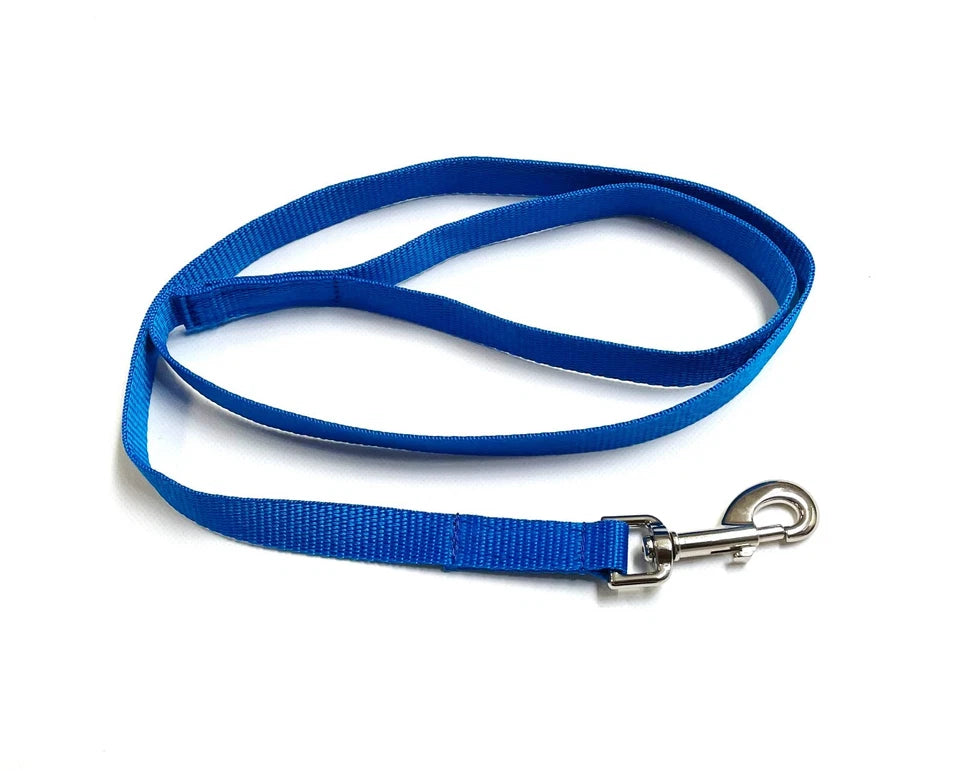 Dog Walking Lead royal blue