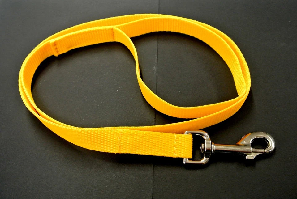 Dog yellow walking lead yellow