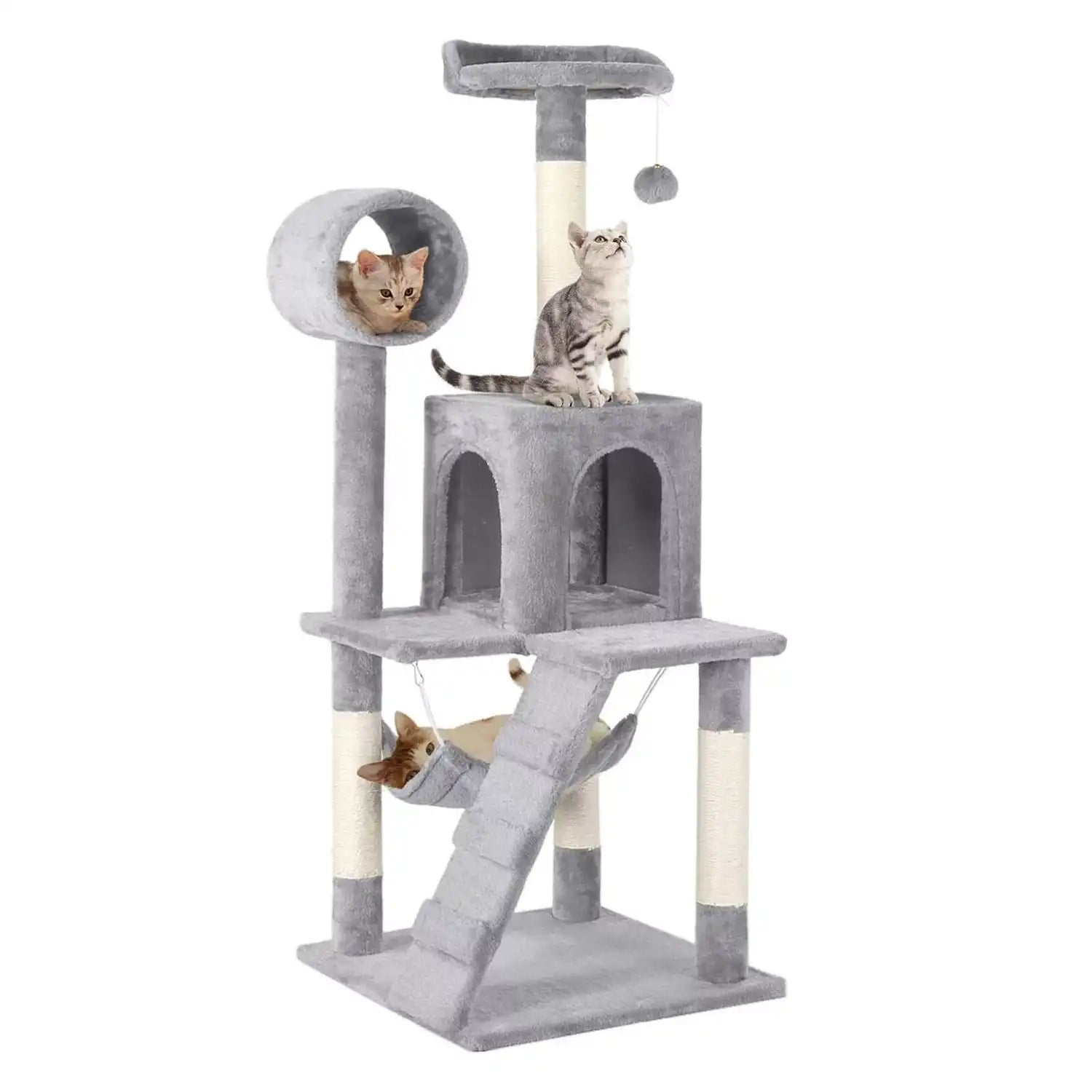 Grey Cat Climbing Tree