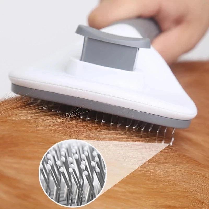 Hair Remover Brush