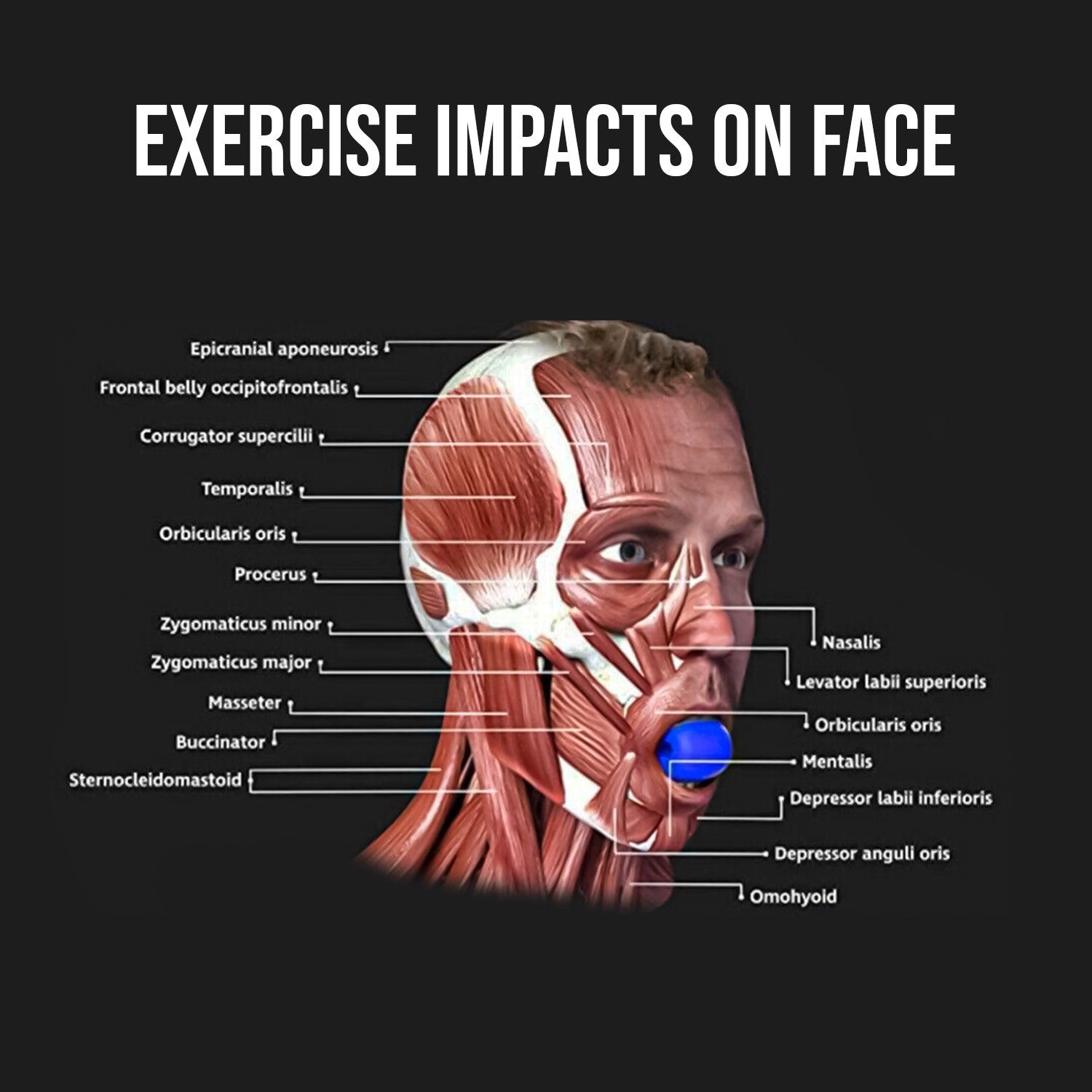 Best Jawline Exerciser