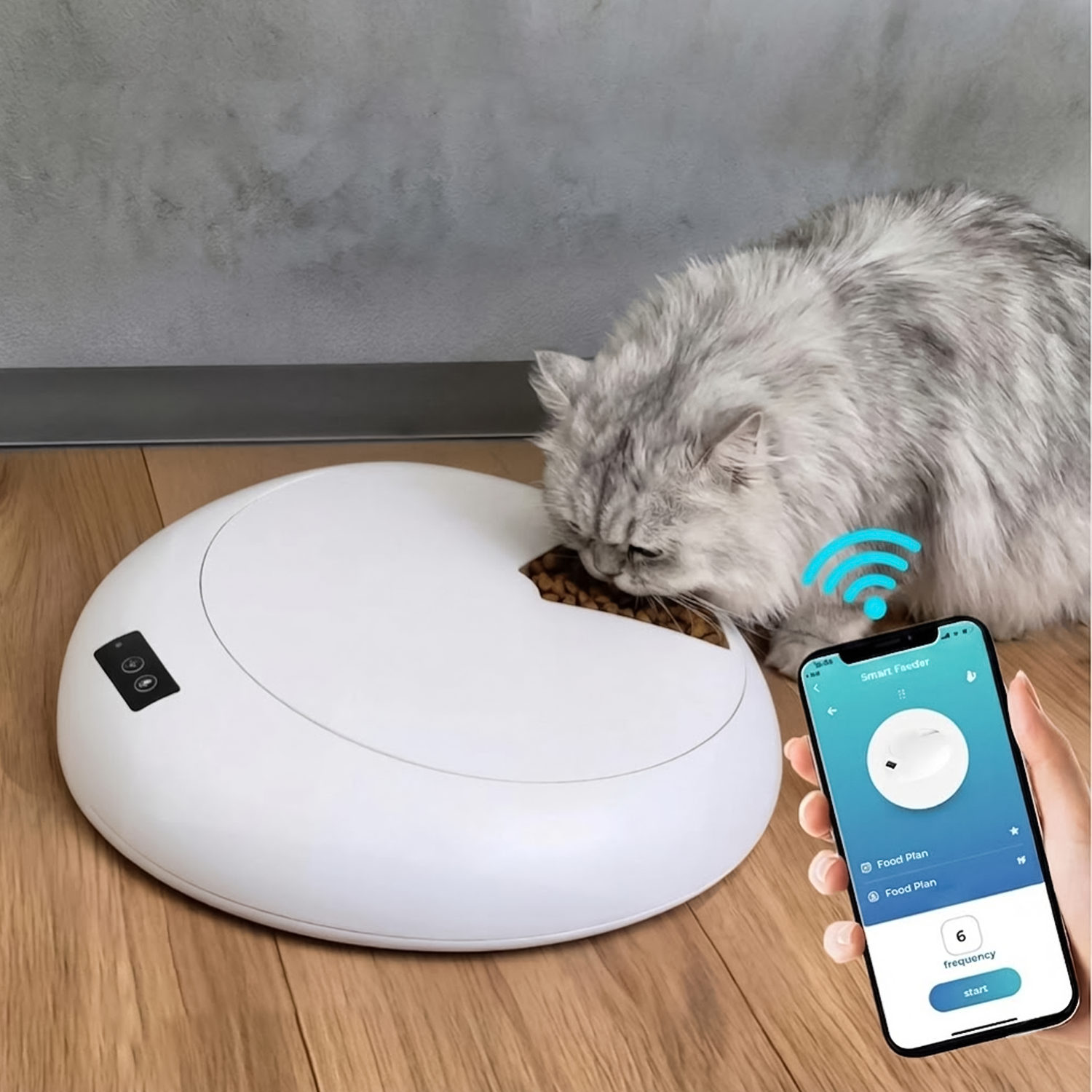 Timed Pet Feeder – Automatic & Scheduled Meal Dispenser for Healthy Pet Feeding