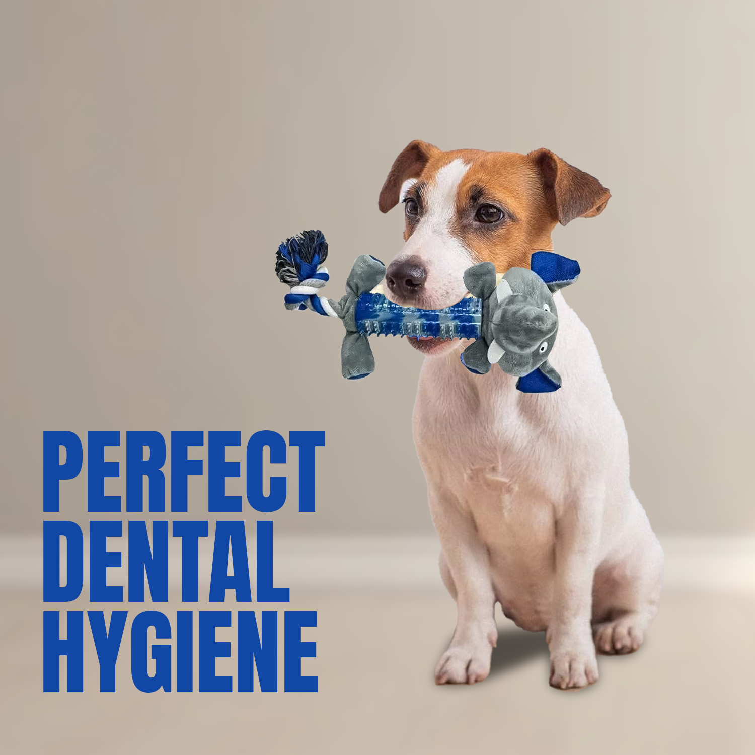 Plush squeaky toy for small and medium dogs