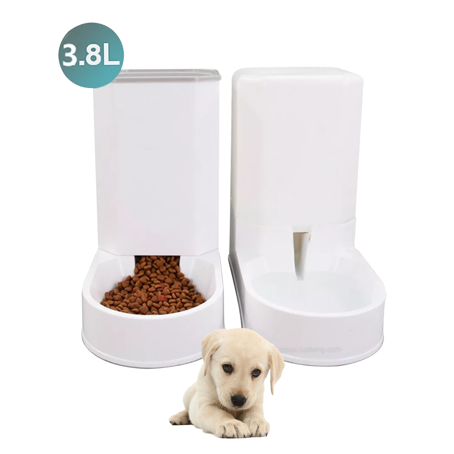 Smart Pet Feeder