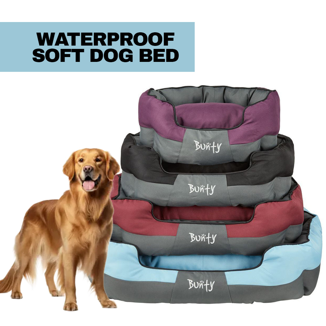 beds for large dogs