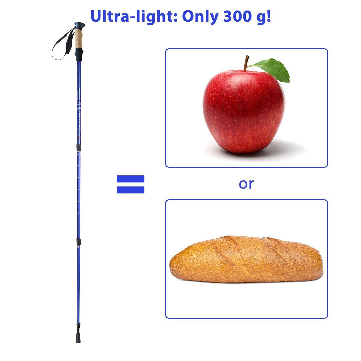 best collapsible hiking pole