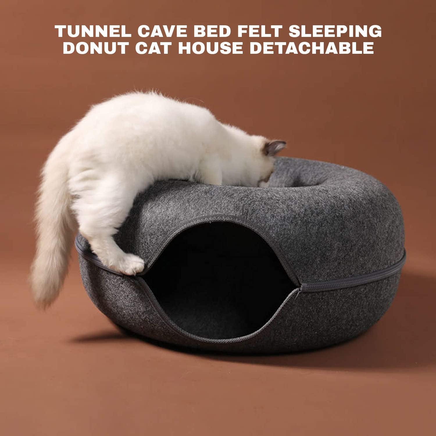 cat bed and tunnel