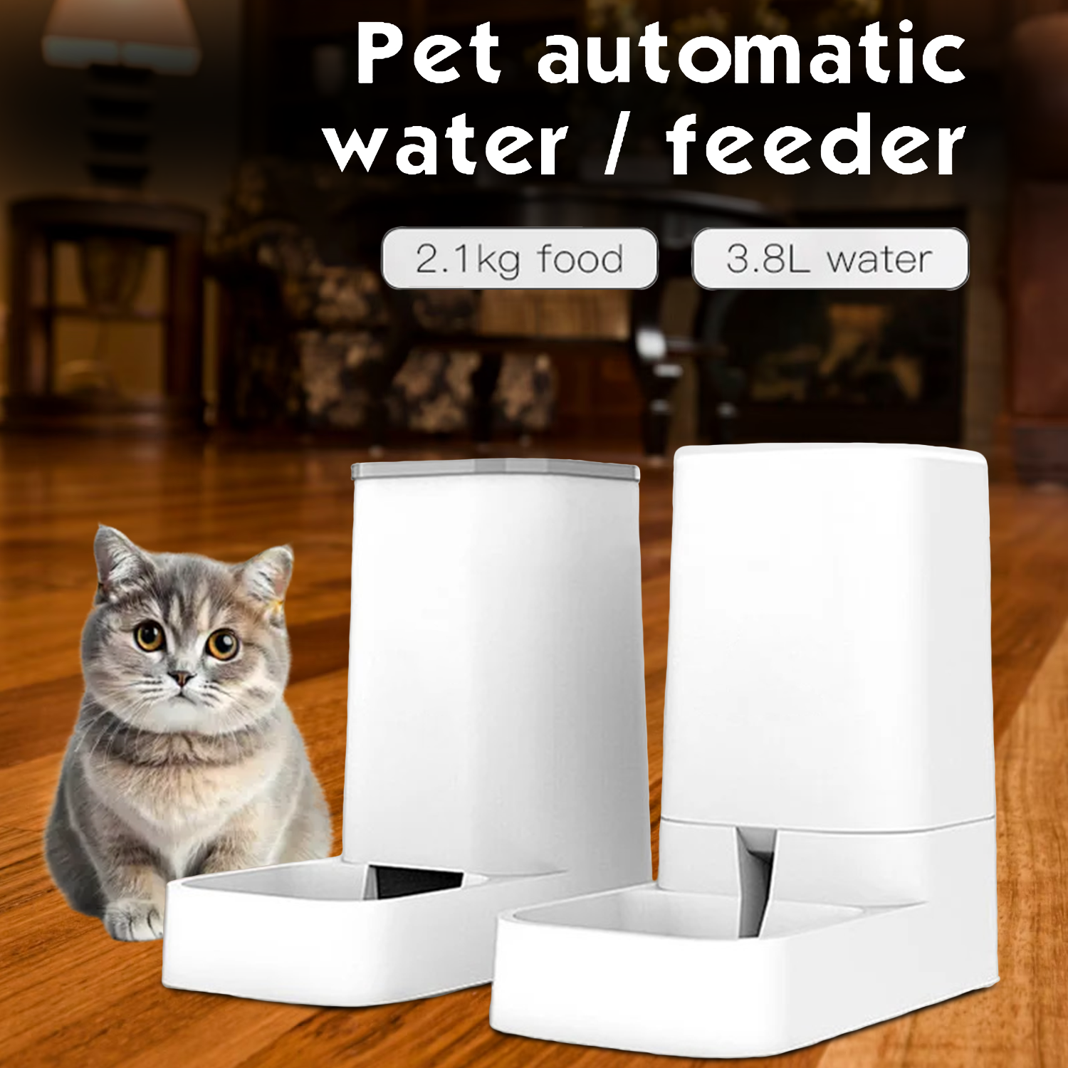 cat feeder smart