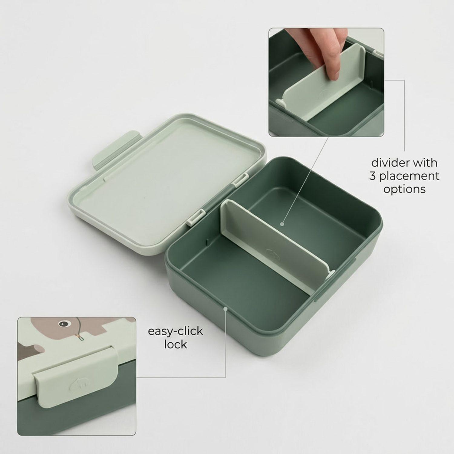 divider and click lock of lunch box