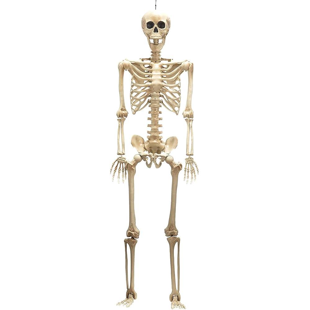 halloween decorations skeletons
