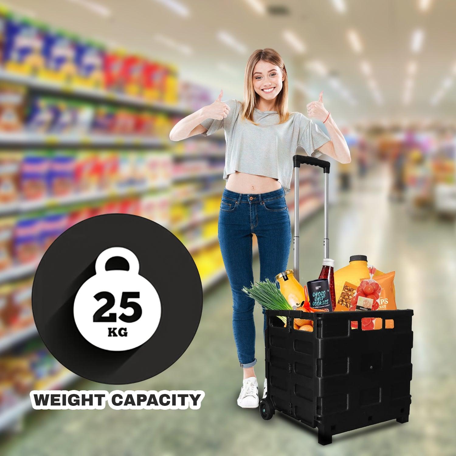 portable shopping trolley