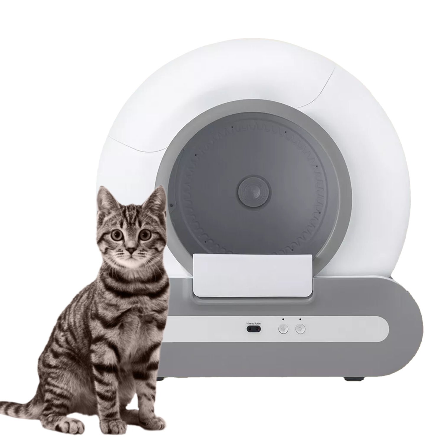 self cleaning cat litter