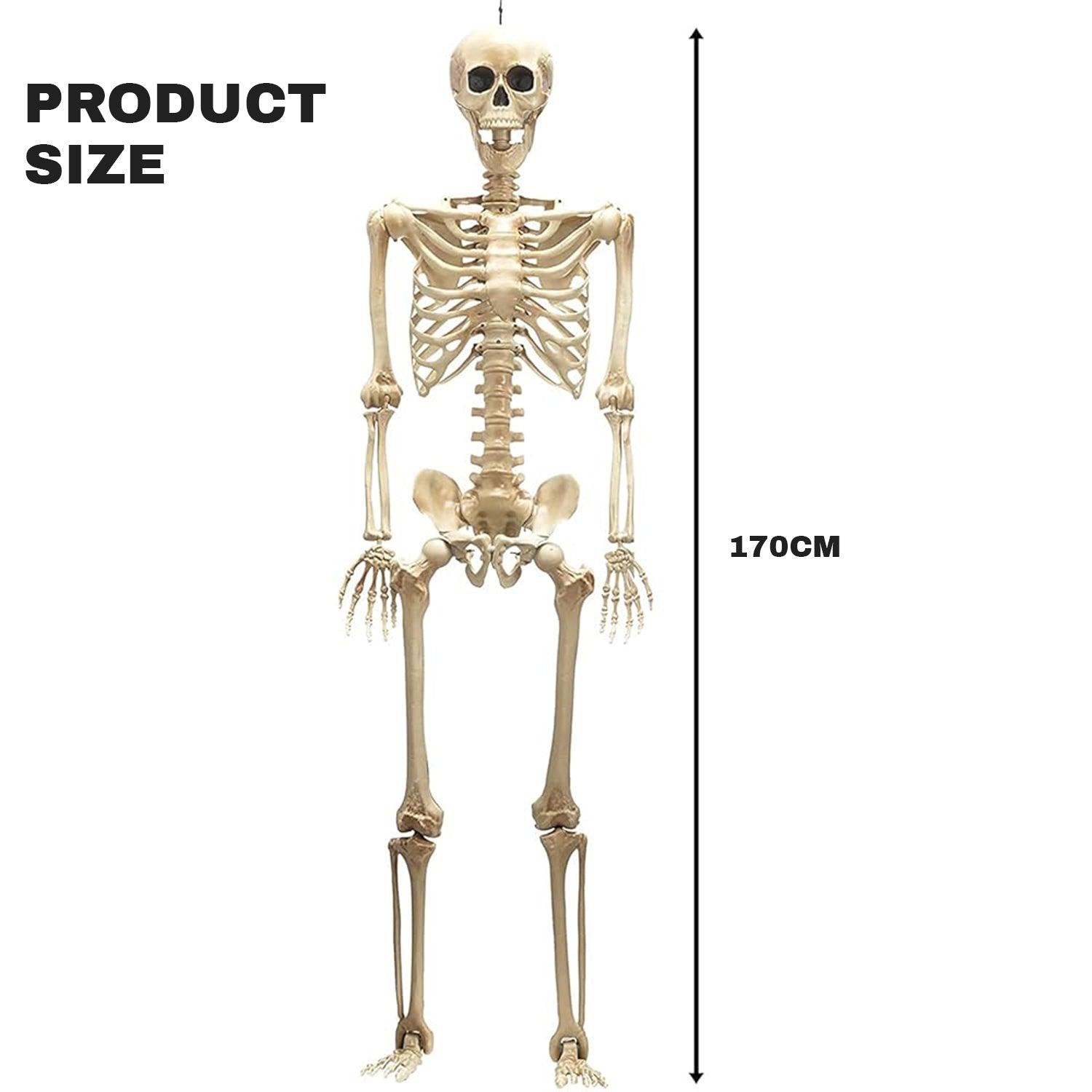 skeleton decoration for halloween