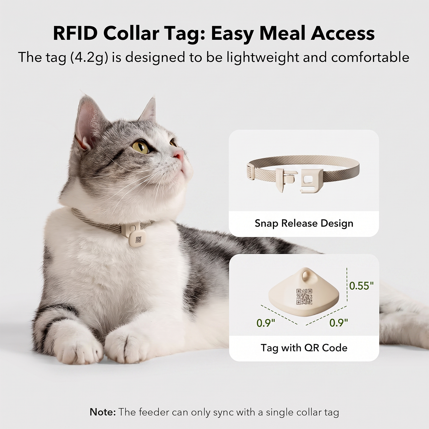 Cat wearing quick-release safety collar with lightweight 4.2g RFID tag featuring contact QR code