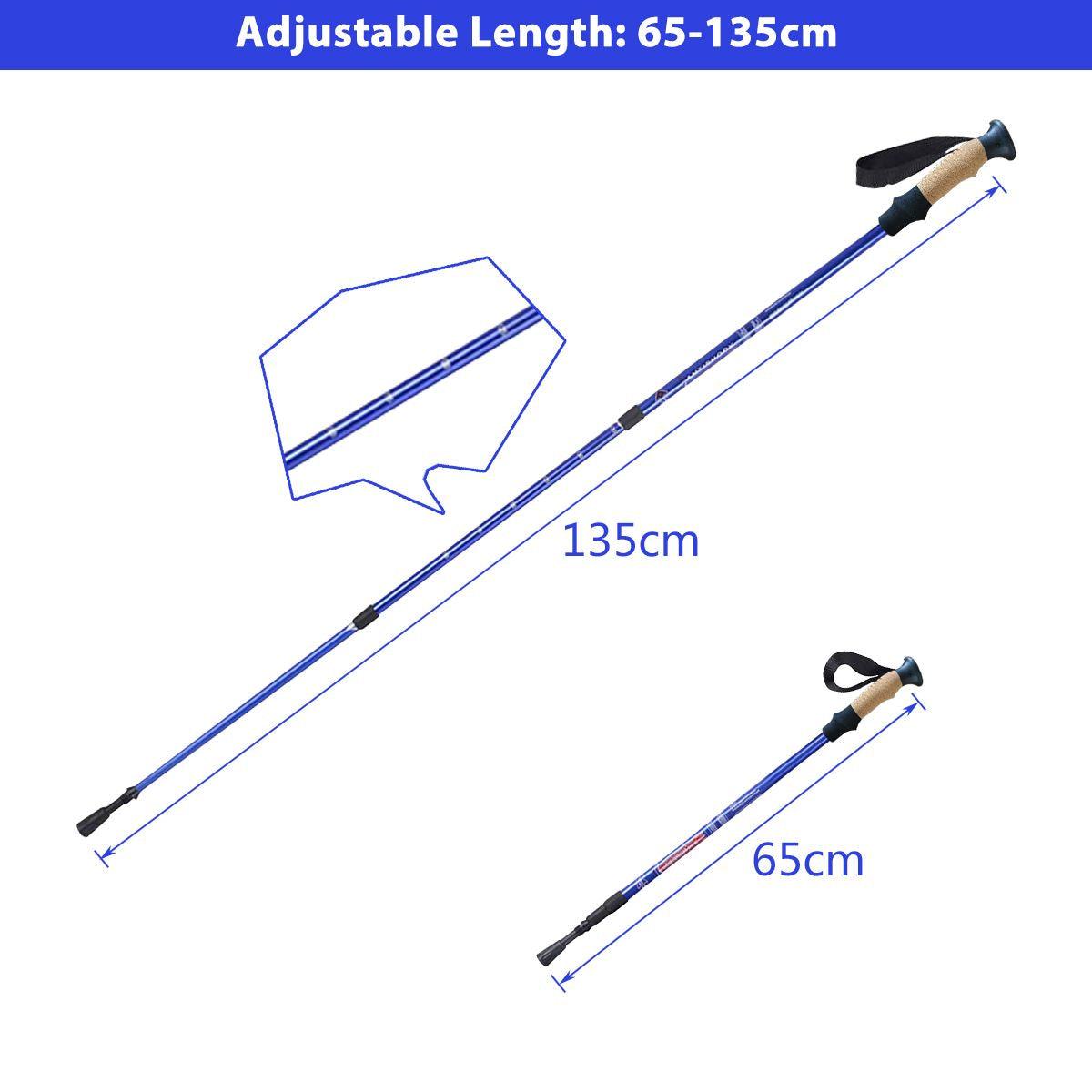 telescoping hiking pole