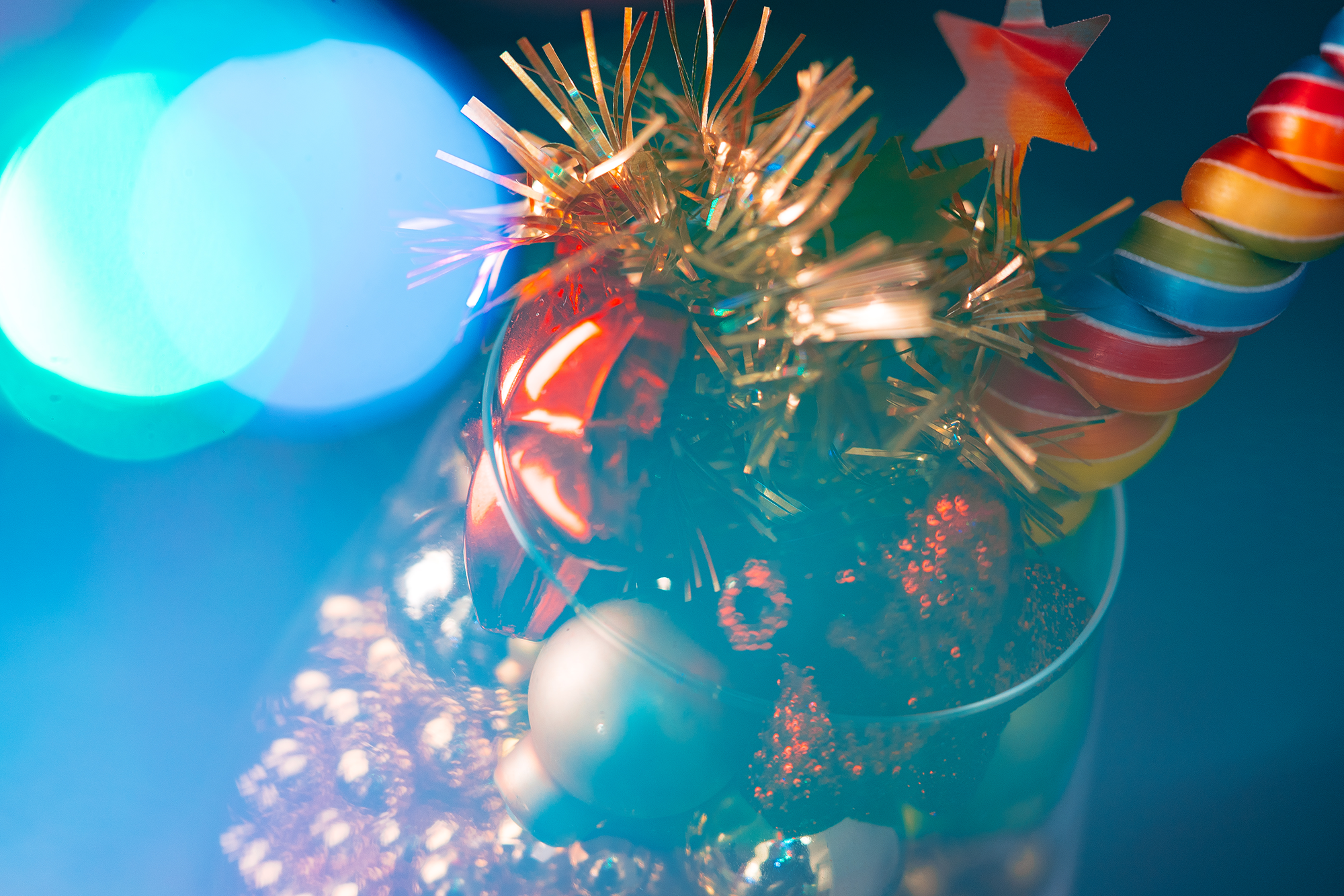 Festive & Franchise