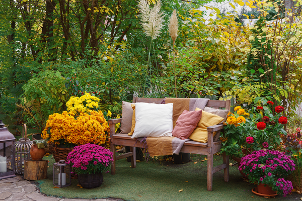 Home & Garden