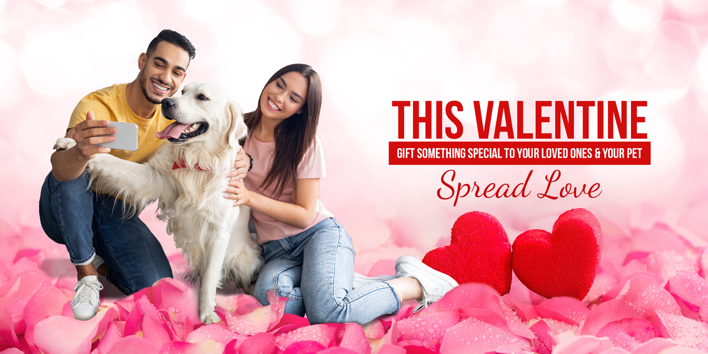 Spread Love: Valentine's Special