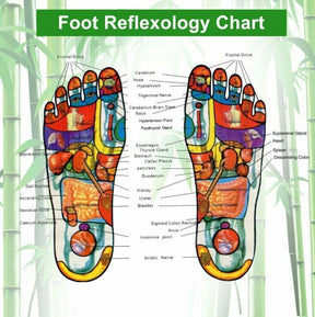 Detox Feet Pads