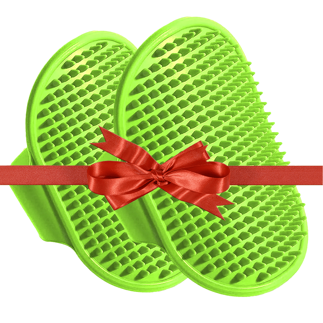 2 pcs Pet Hair Remover Brush