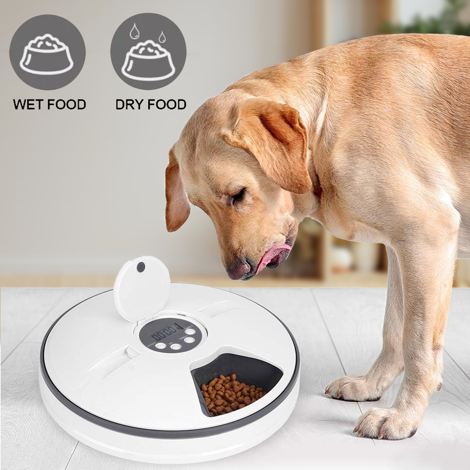 Automatic pet feeder with portion control