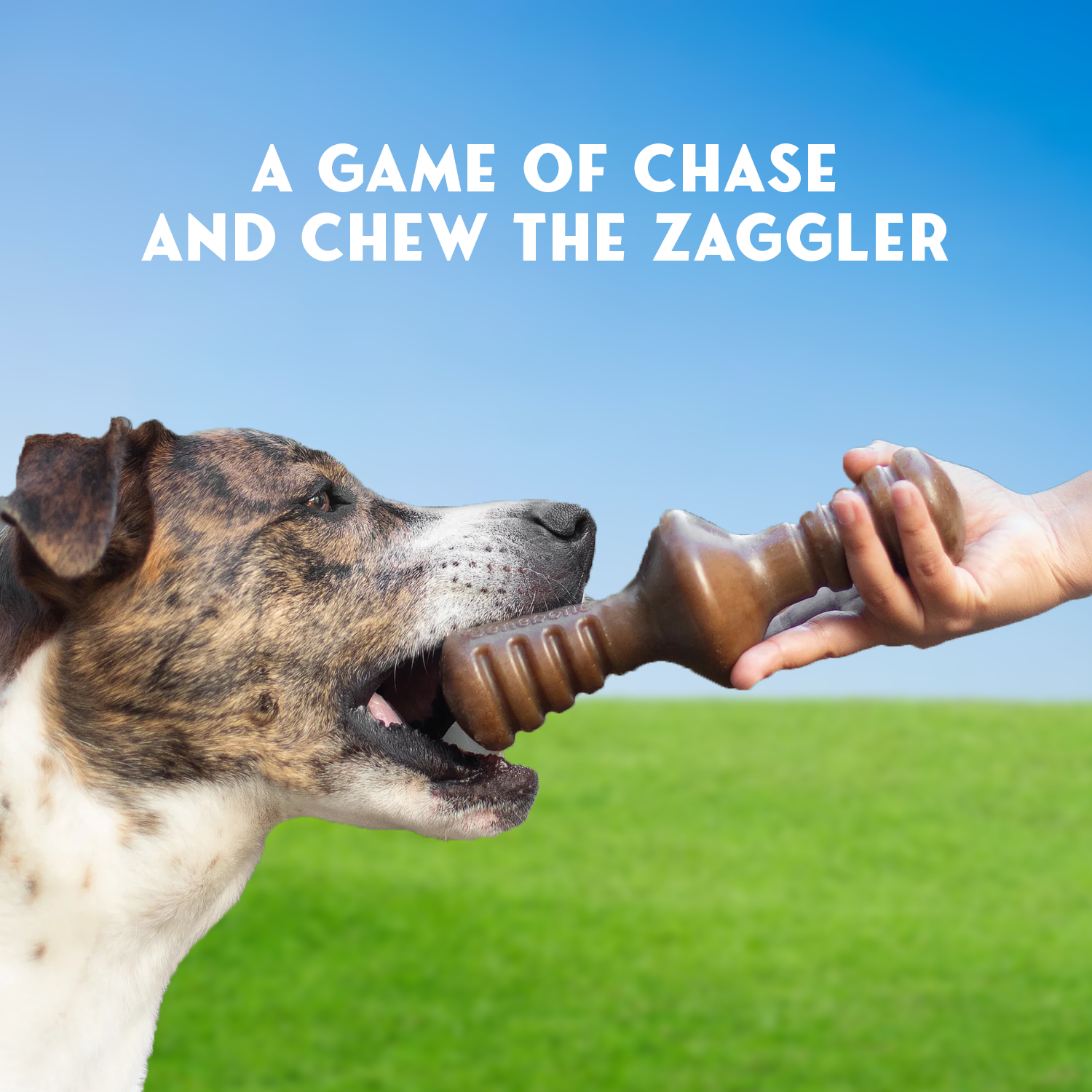 Best teething toy for puppies and small dogs
