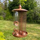 Bird Feeders on Trees