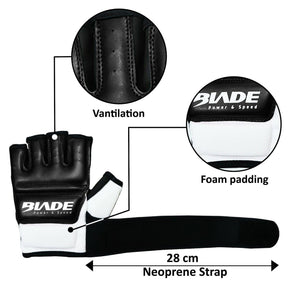 boxing gloves venum