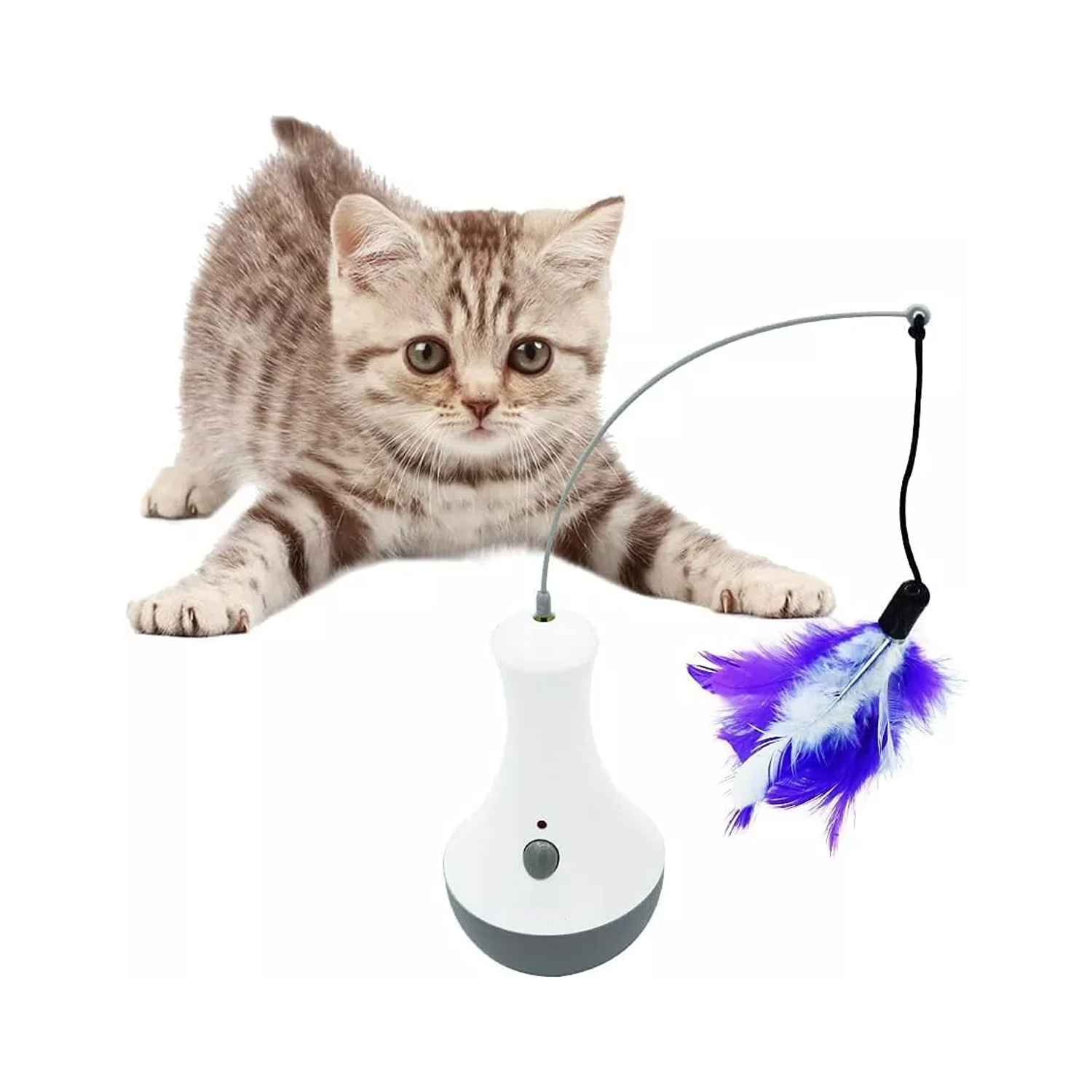 Cat Interactive Toys