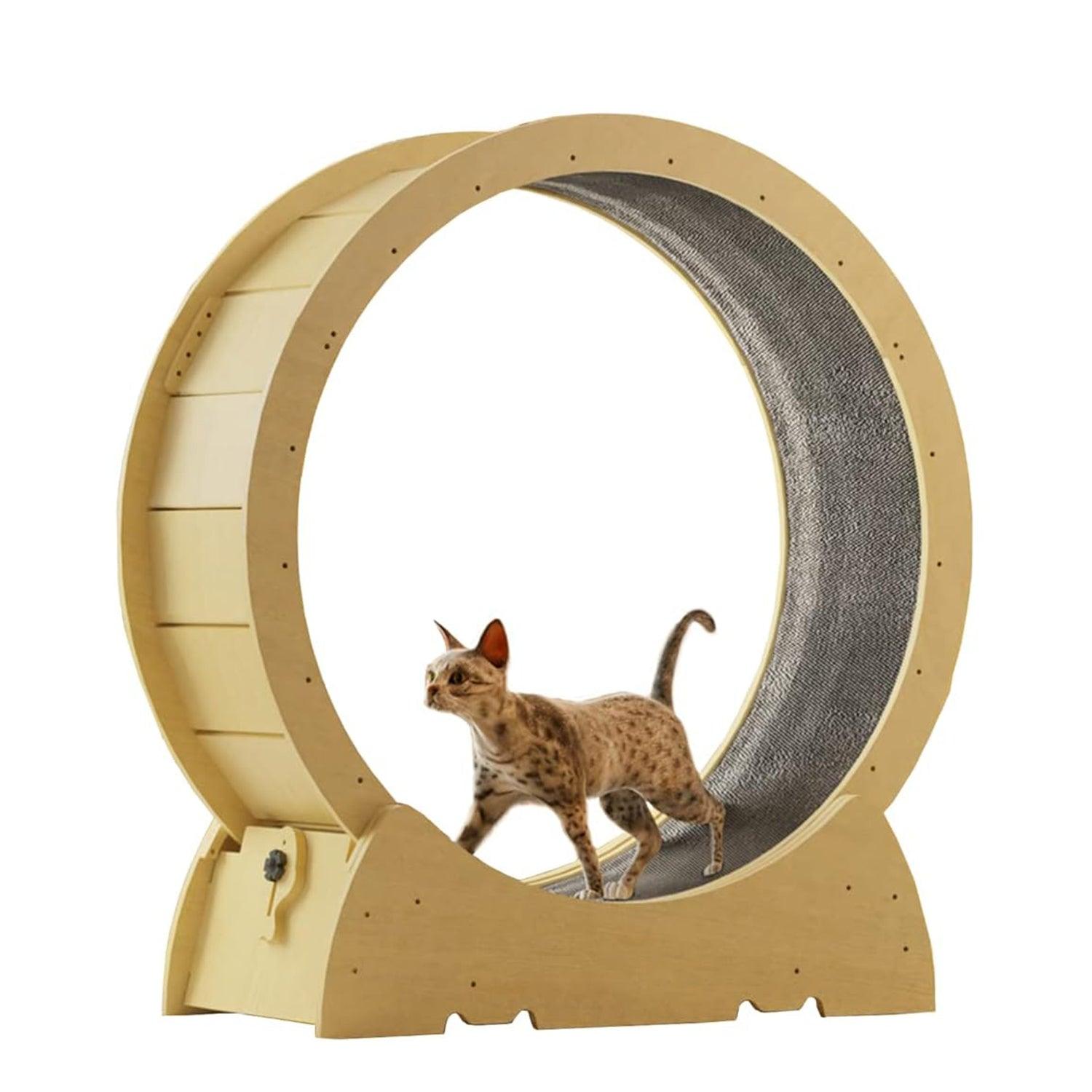 Cat Running Wheel - Large Cat Exercise Wheel Silent Movement Cat Toy