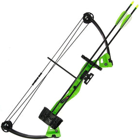 Best Bow and Arrow Set