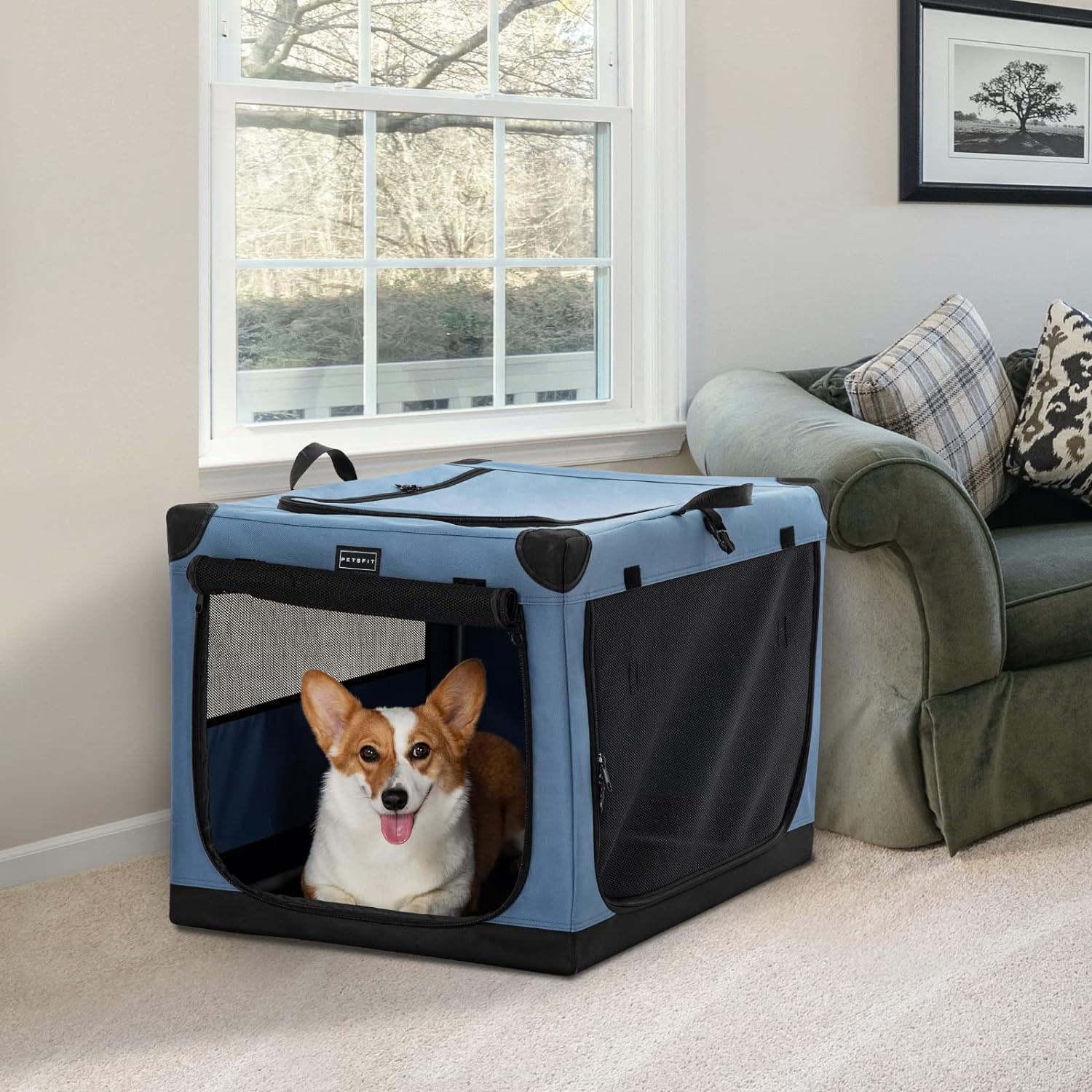 	 traveling dog crate