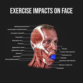 Best Jawline Exerciser