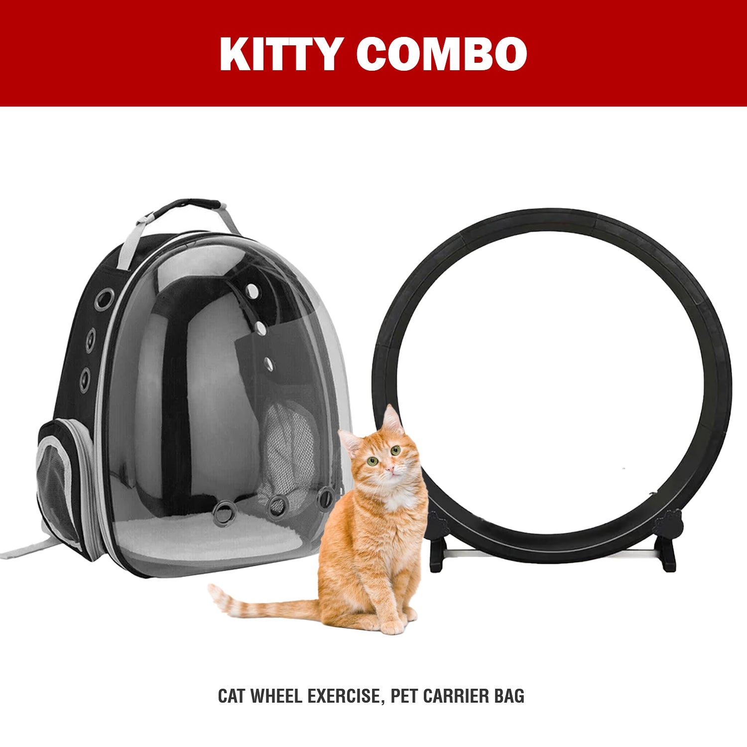 Kitty Combo