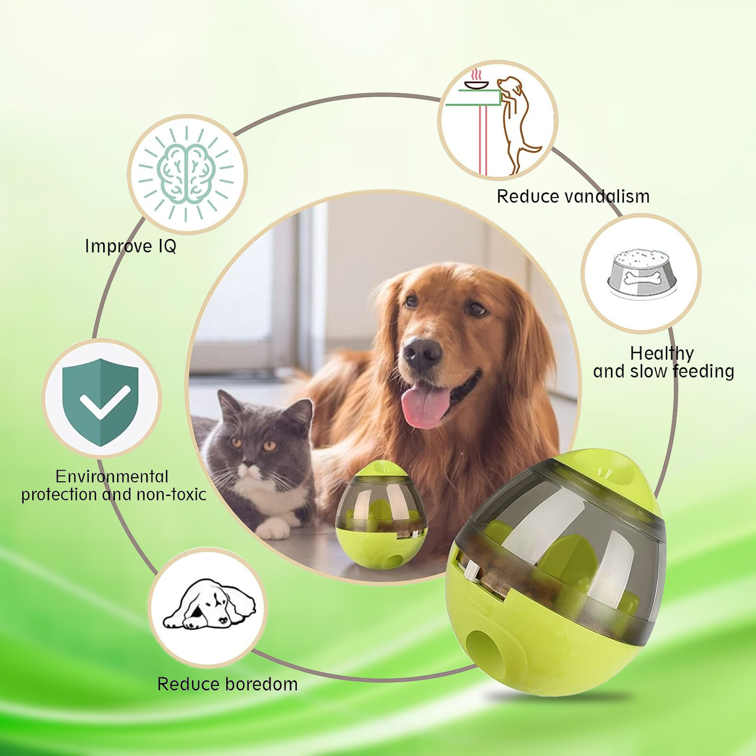 Large-capacity automatic dog feeder