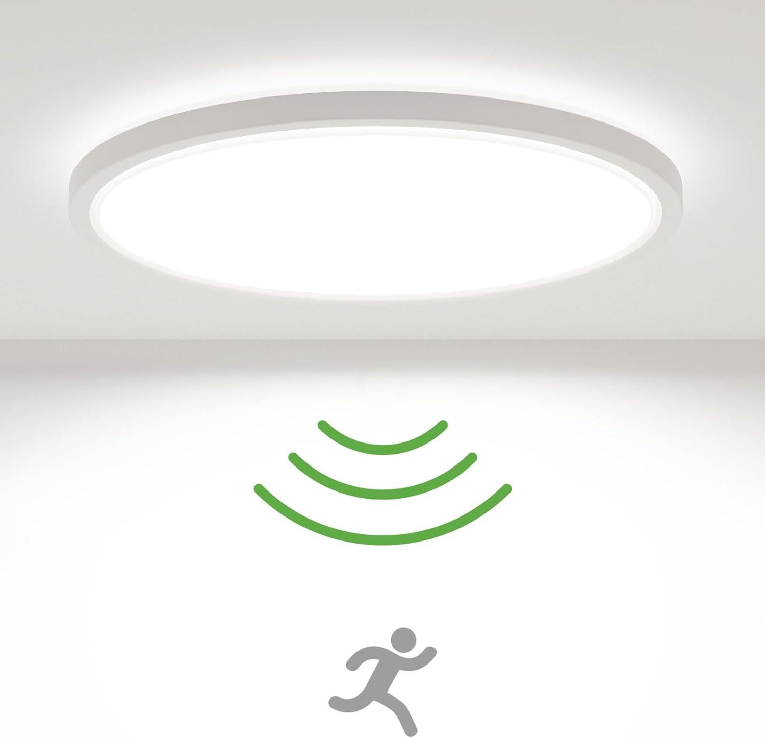 Motion Sensor Ceiling Light