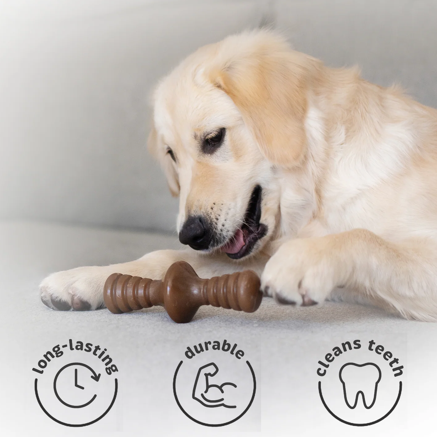 Pet-friendly chew toy