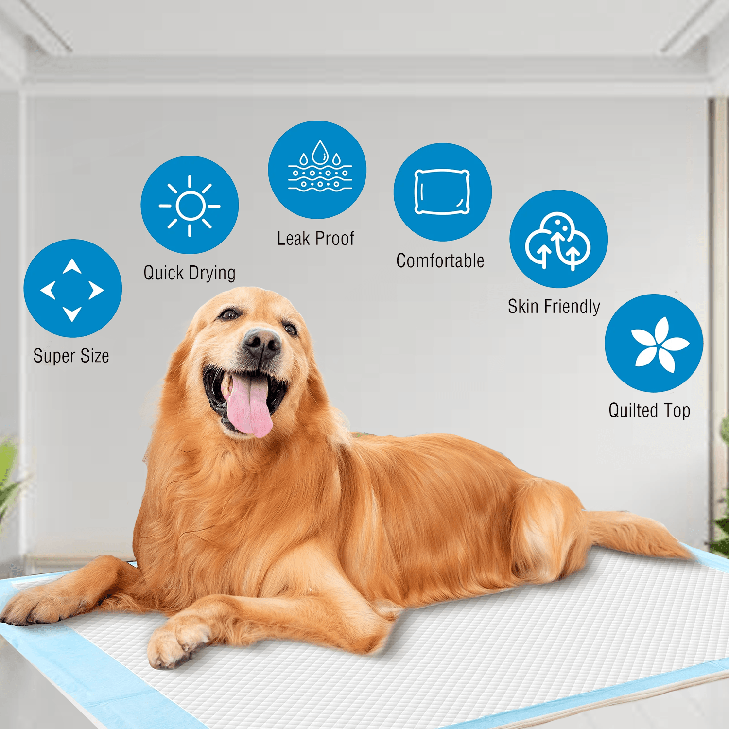 Pet Pee Pads