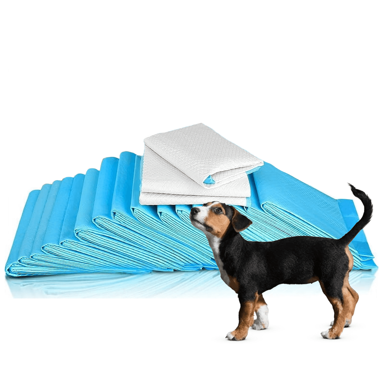 Pet Toilet Training Pads