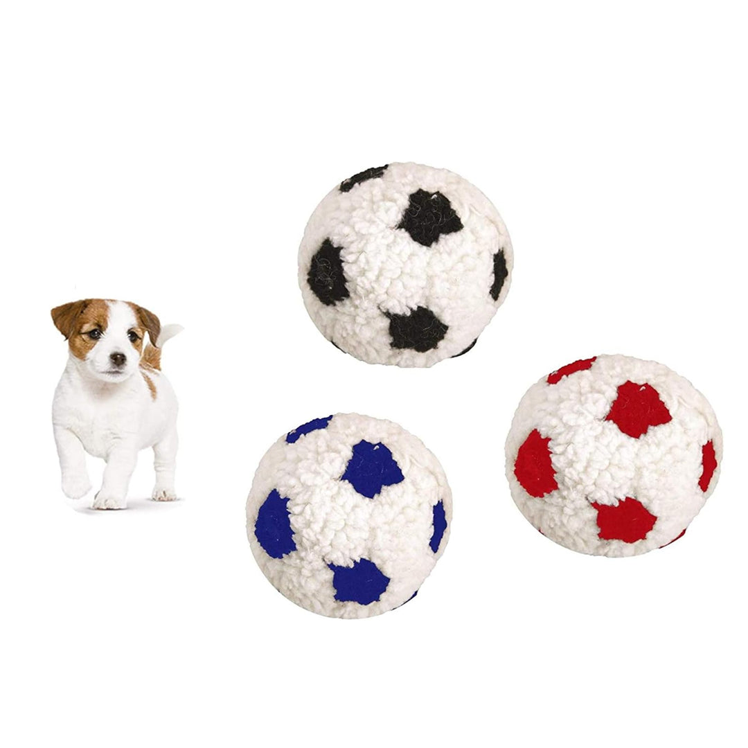 dogs with footballs