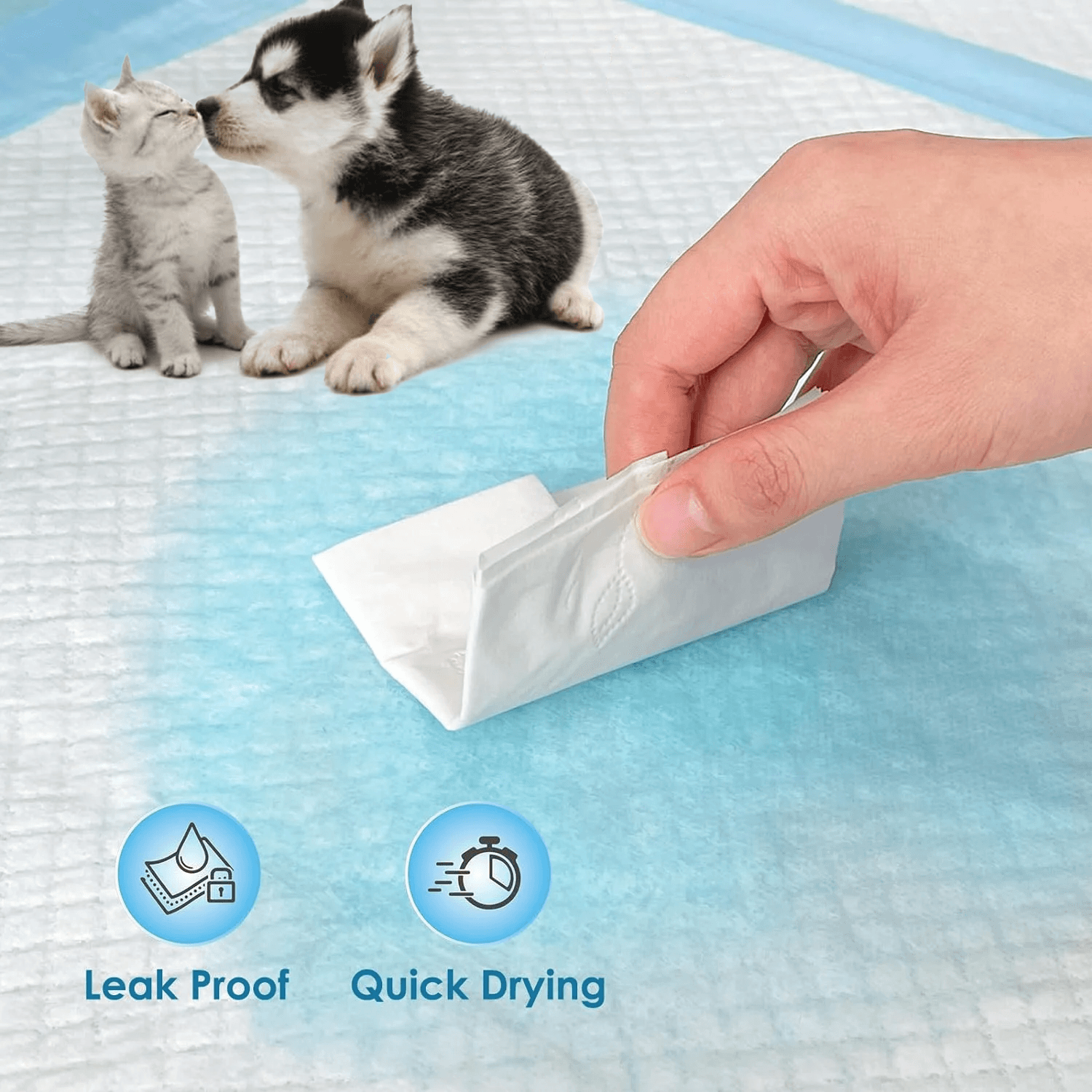 Training Pads For Pets