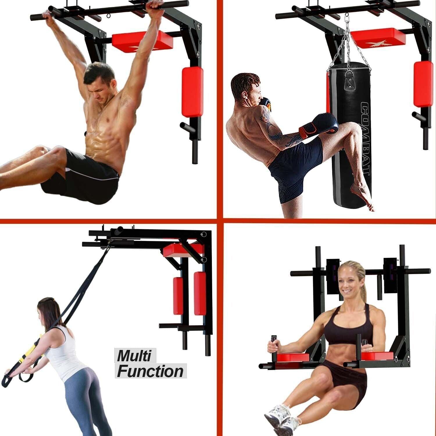Wall Mounted Pull Up Bar 